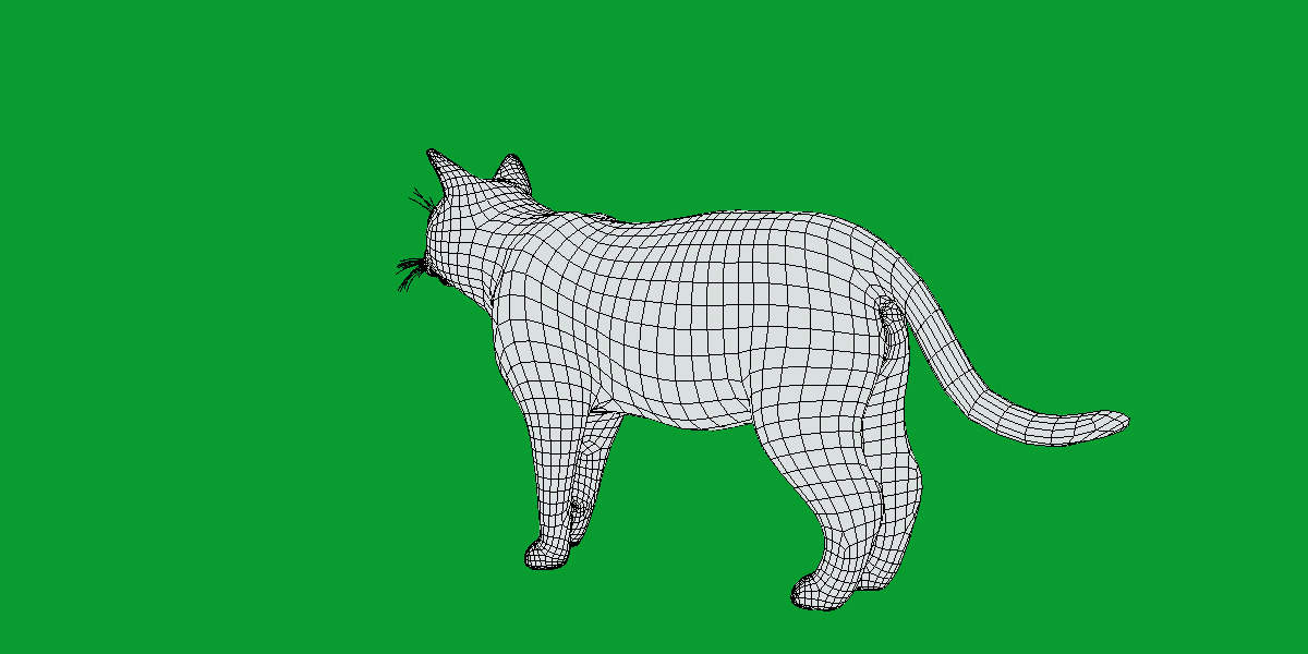 Domestic House Cat Low-poly 3D model_27