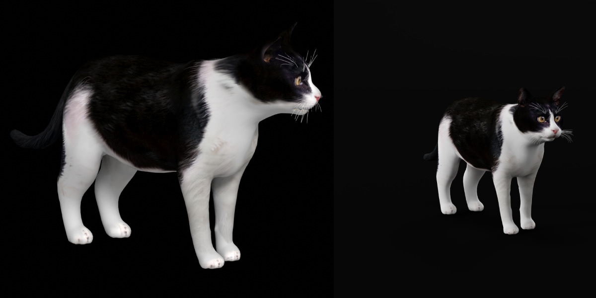 Domestic House Cat Low-poly 3D model_26