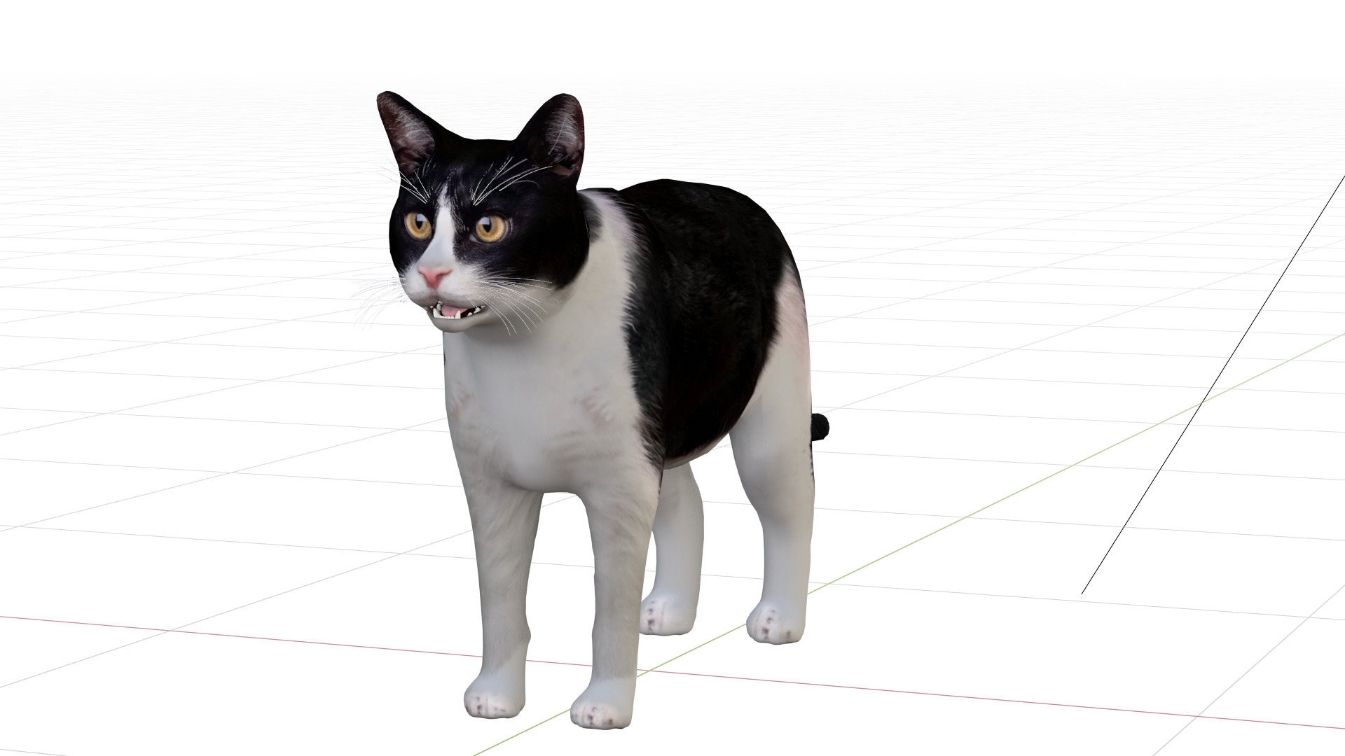 Domestic House Cat Low-poly 3D model_5