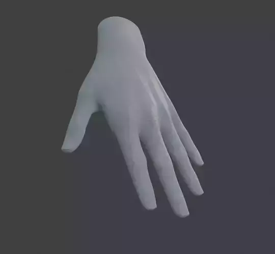 Low Poly Hand Model with Normal Map NO COLOR ONLY NORMAL MAP
