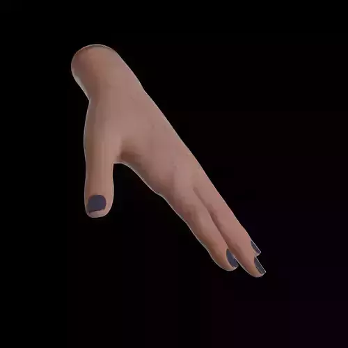 Low Poly Hand Model with  COLOR  Roughness Metalic  Normal Maps