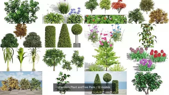 Flanders Plant andTree Pack 3D Model Collection