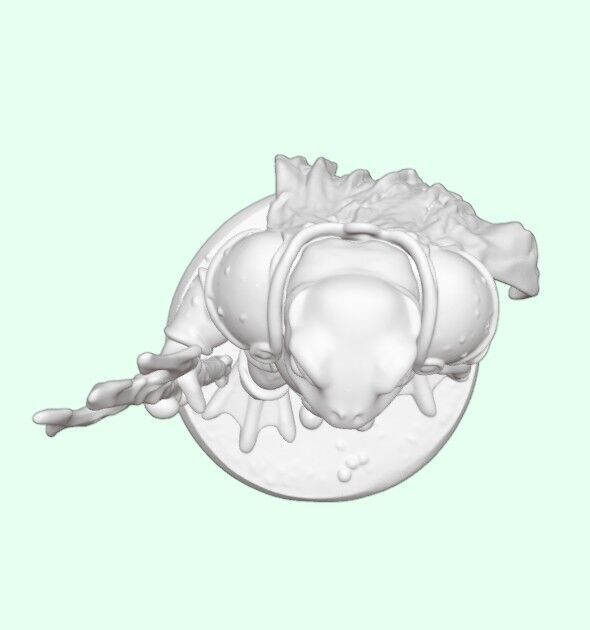 Tideguard Sentinel Frog Warrior of the Tidewalkers 3D print model_12