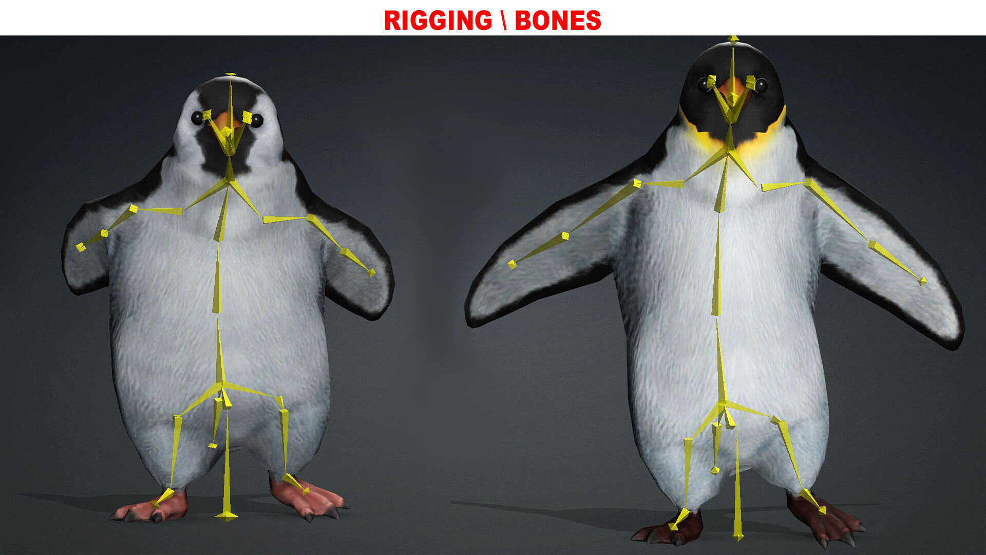 PENGUINS RIGGED ANIMATED 1 Low-poly 3D model_5
