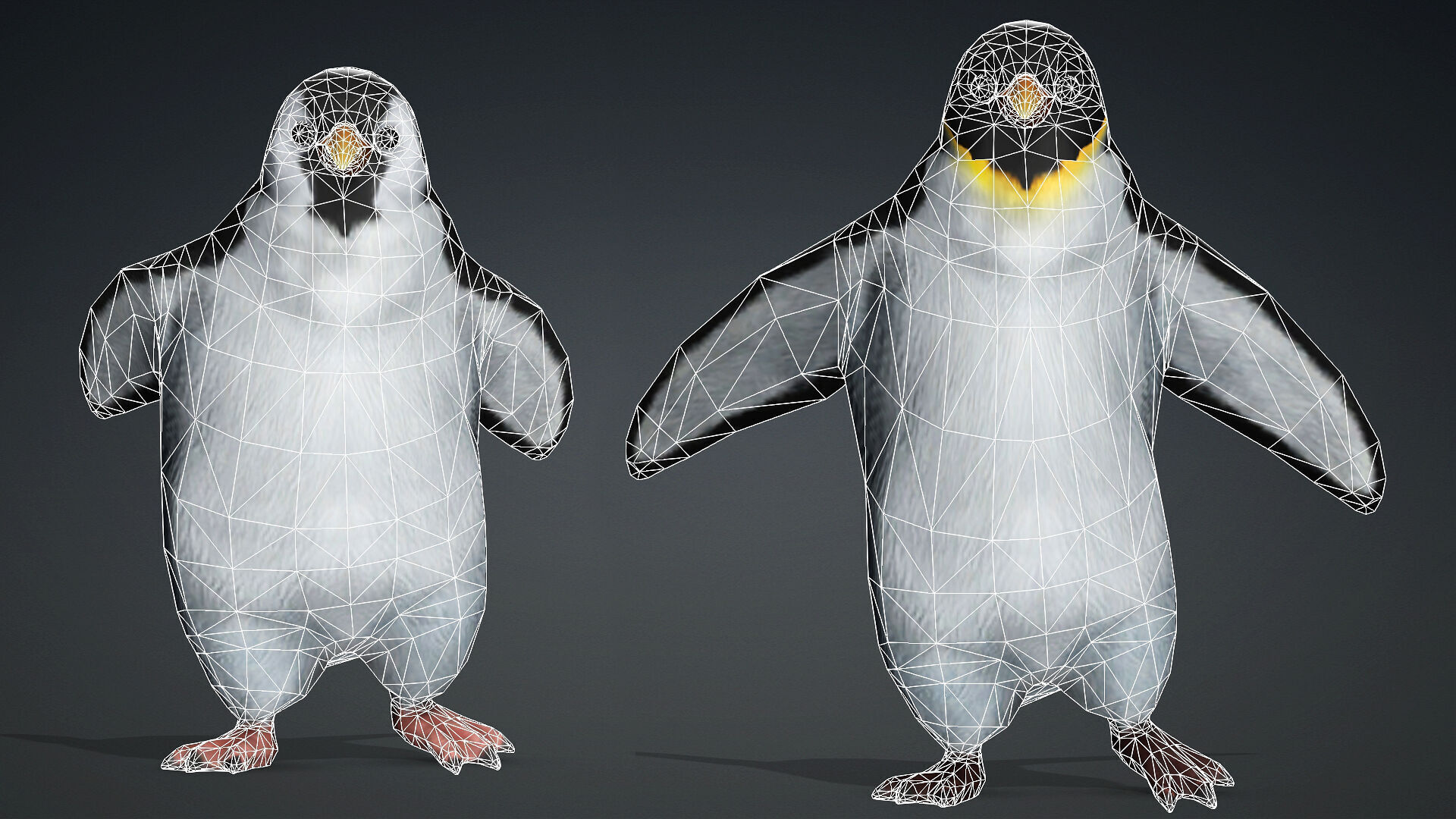 PENGUINS RIGGED ANIMATED 1 Low-poly 3D model_7