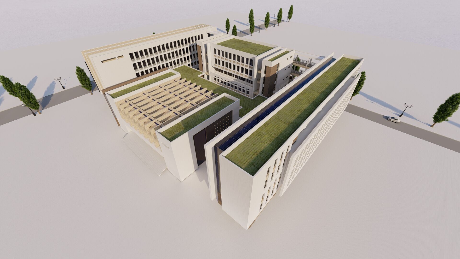 School-University -High School 3D model_1