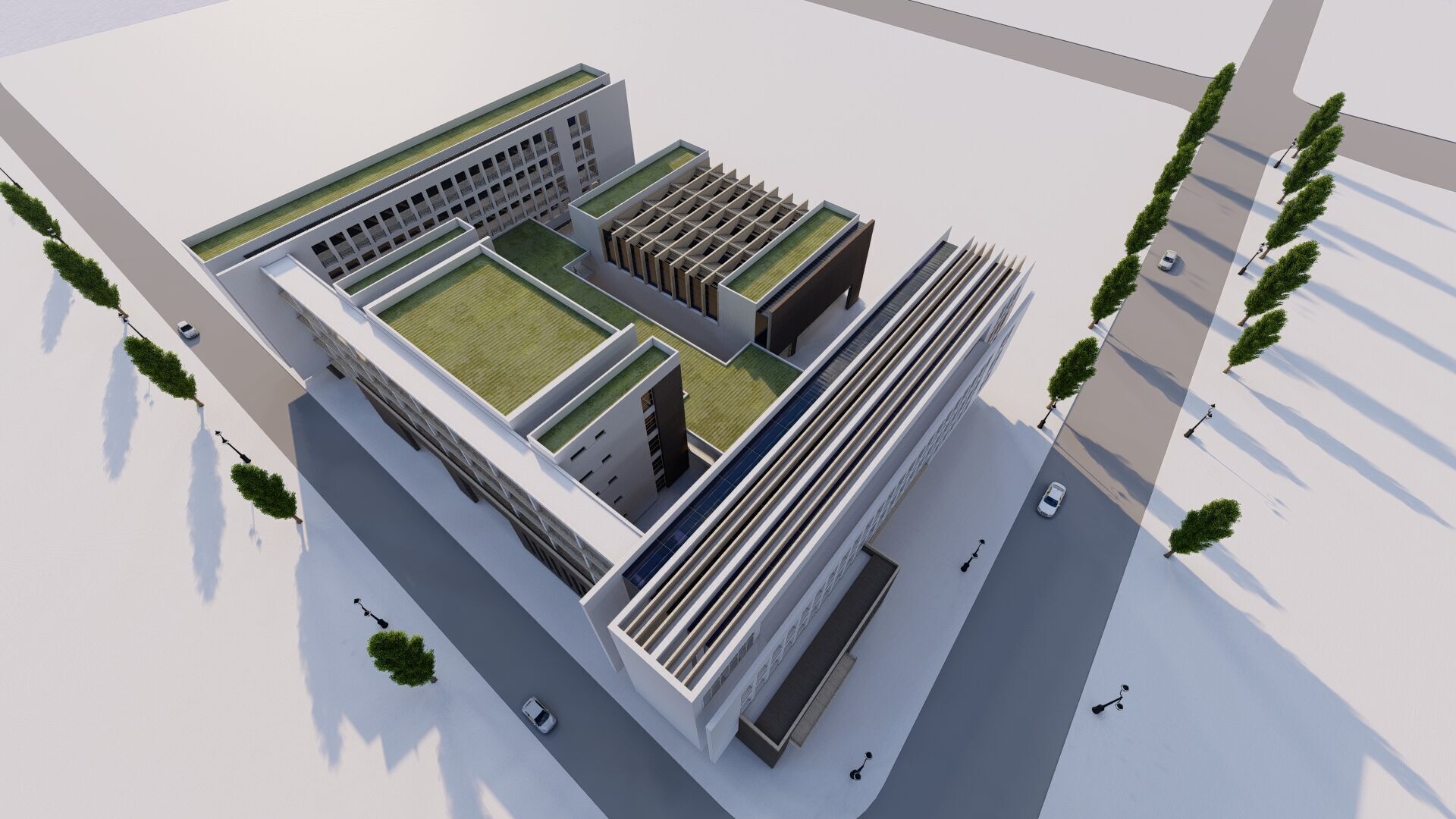 School-University -High School 3D model_10