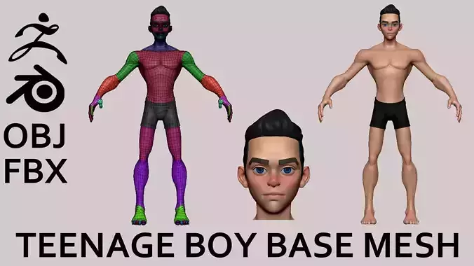 Teenage Boy Base Mesh Stylized 3D Character Model Low-poly 3D model Teenage Boy Base Mesh Stylized 3D Character Model Low-poly 3D model