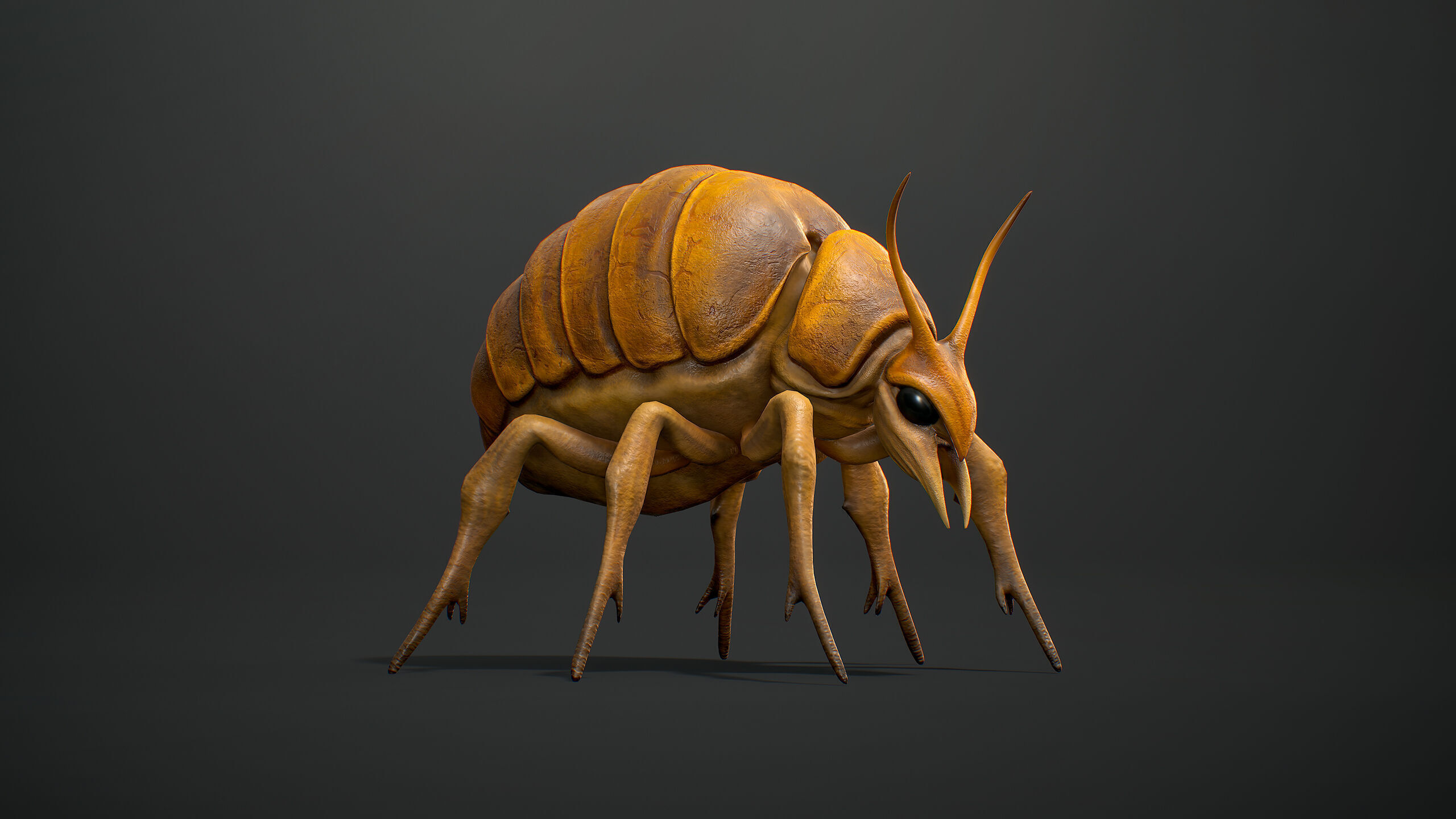 Seeker Beetle - Game Ready Low-poly 3D mode Low-poly 3D model_7