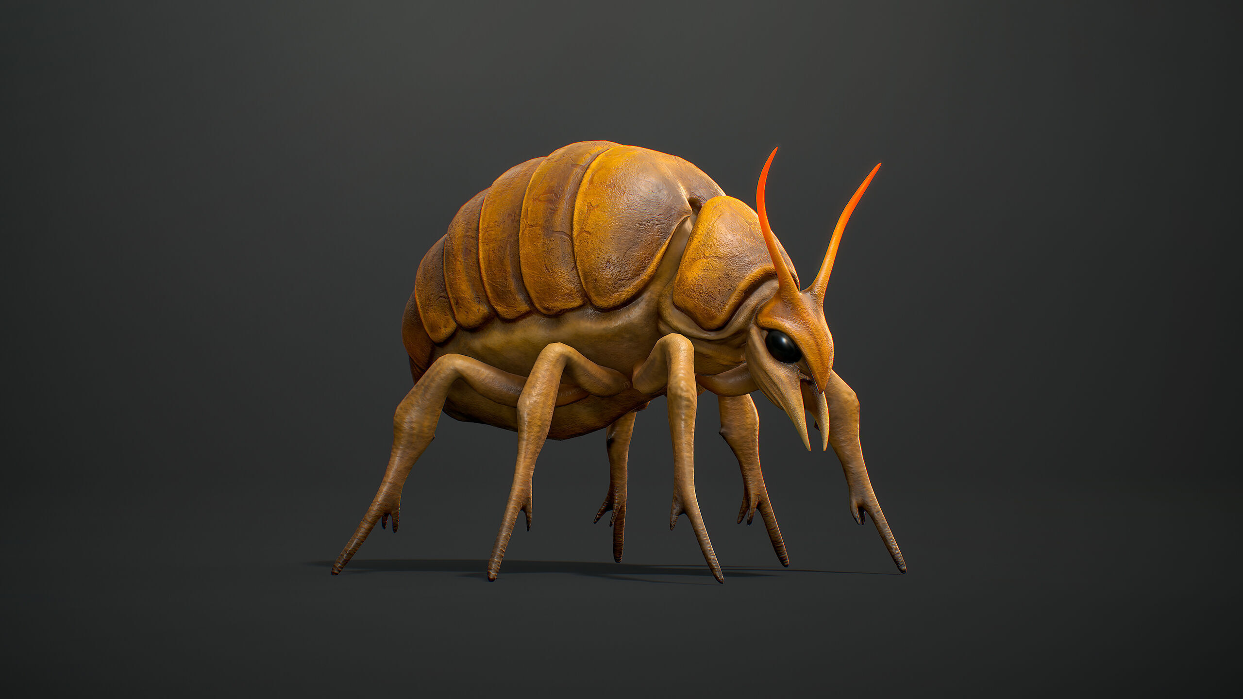 Seeker Beetle - Game Ready Low-poly 3D mode Low-poly 3D model_8