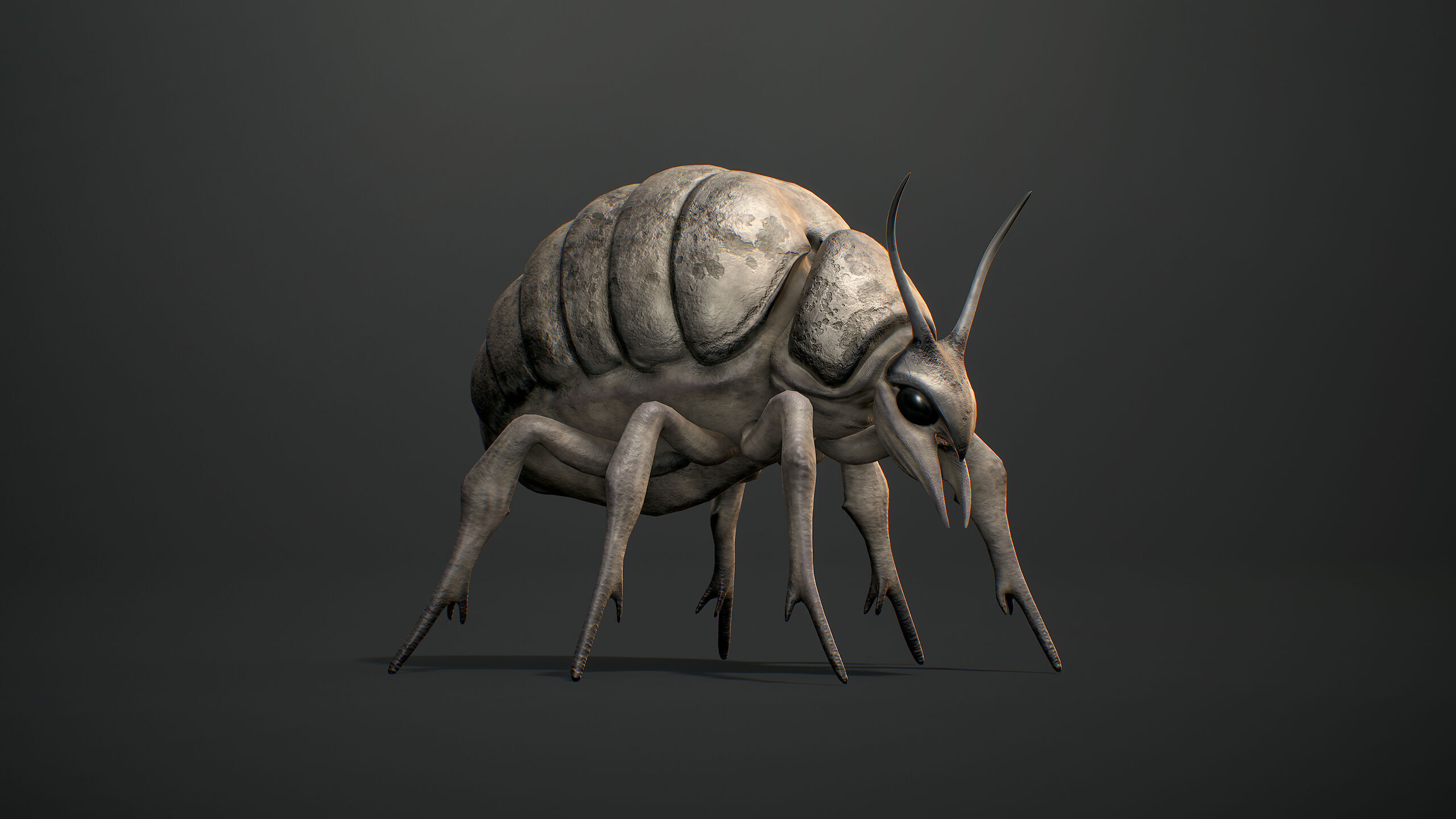Seeker Beetle - Game Ready Low-poly 3D mode Low-poly 3D model_5