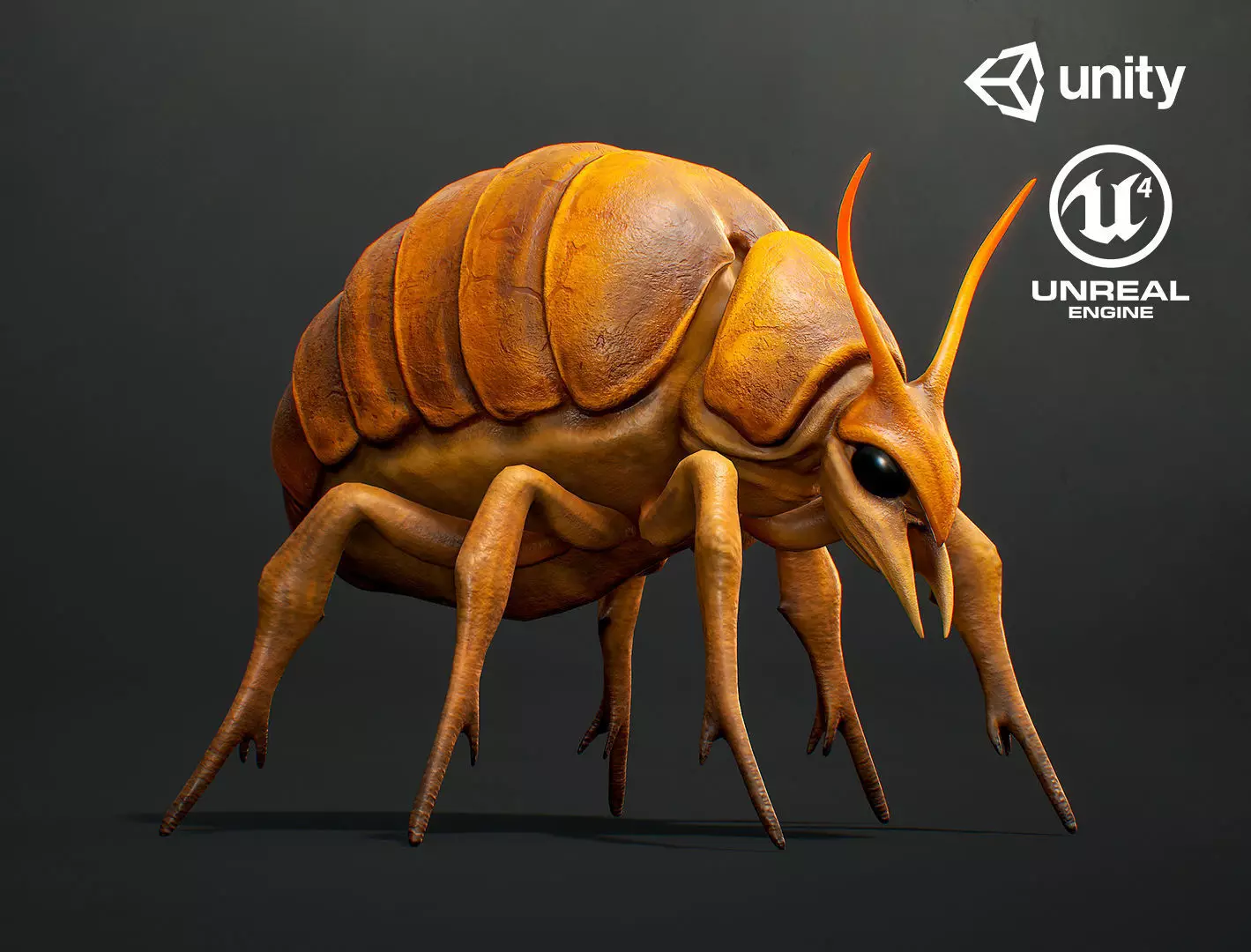 Seeker Beetle - Game Ready Low-poly 3D mode Low-poly 3D model_0