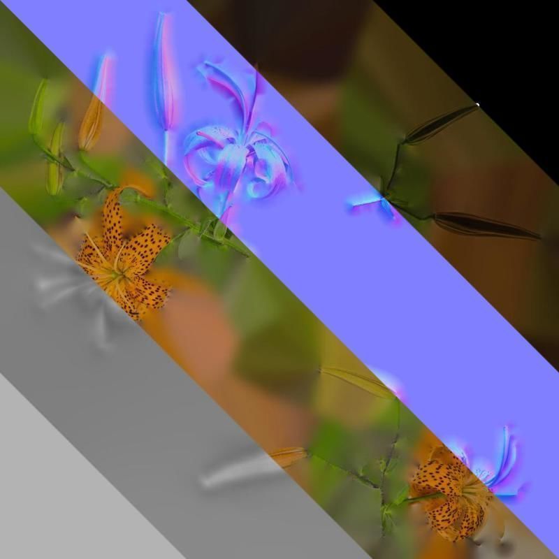 Anydrafts Lilium lancifolium Atlas 05 Texture_8