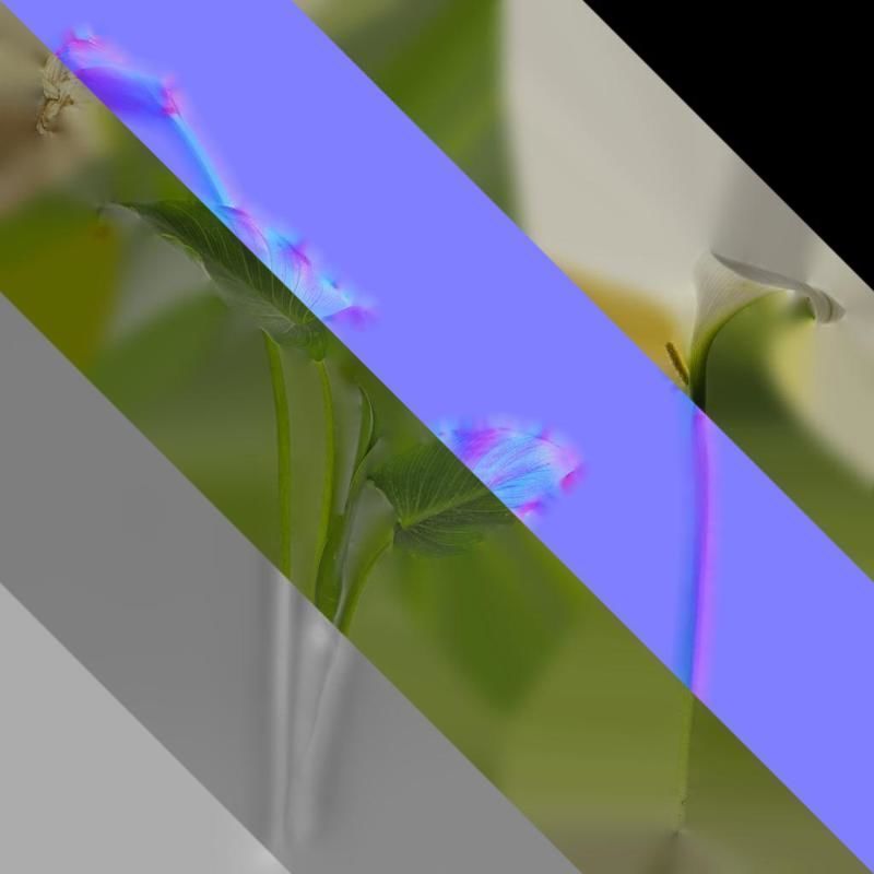 Anydrafts Zantedeschia aethiopica Atlas 01 Texture_8