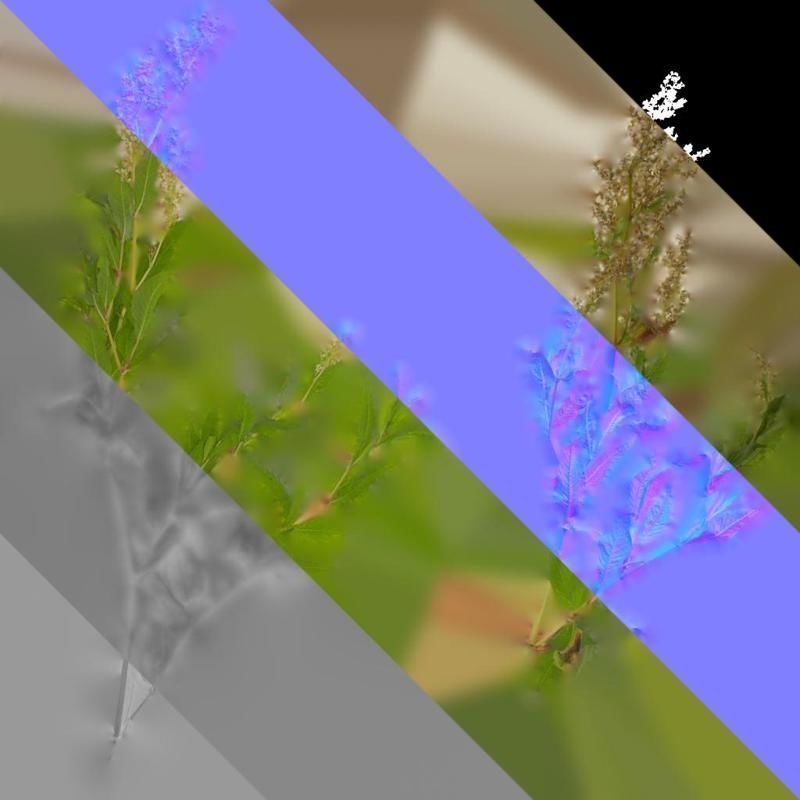 Anydrafts Aconogonon divaricatum Atlas 01 Texture_8