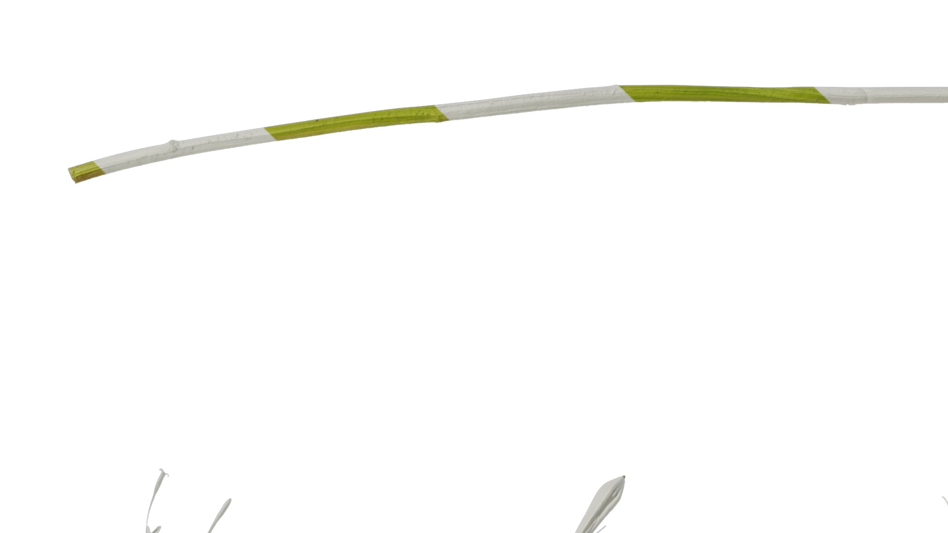 Anydrafts Adenophora capillaris paniculata Atlas 02 Texture_1