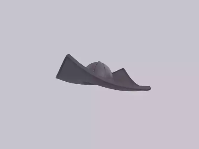 Hat407