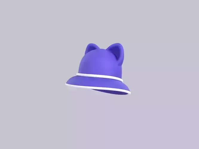 Hat417
