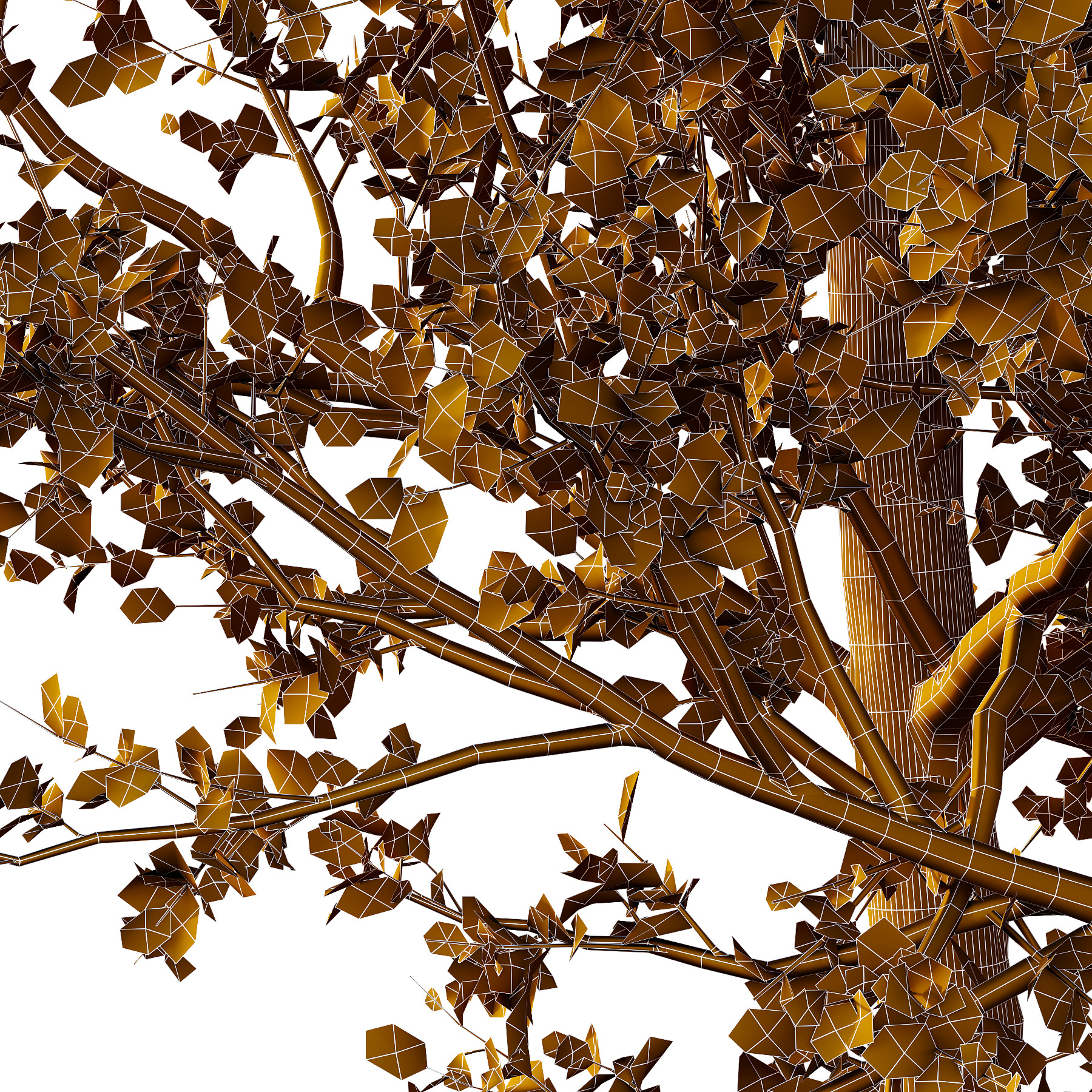 Betula Pendula Tree 03 3D model_3