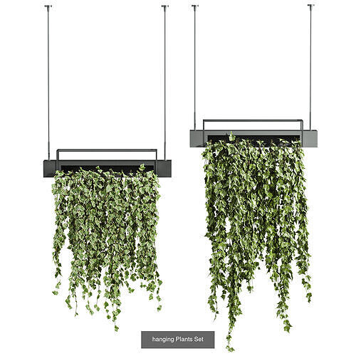 7 Ivy plant 3D models 3D Model Pack 5