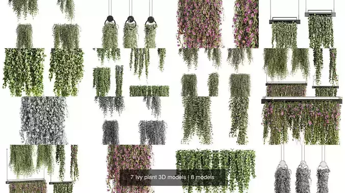 7 Ivy plant 3D models