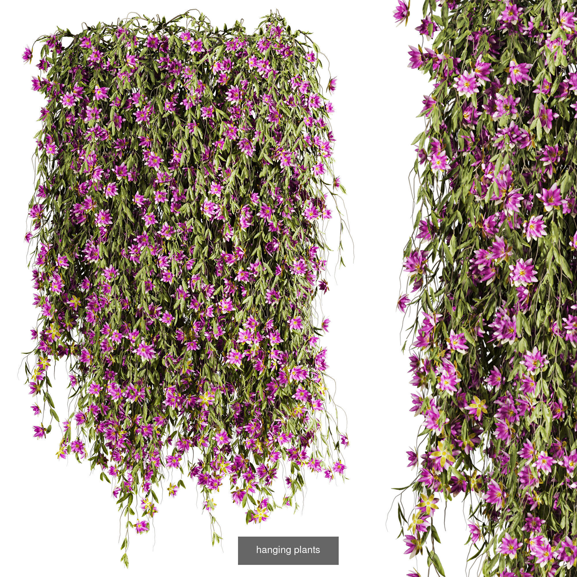 7 Ivy plant 3D models 3D Model Collection_3