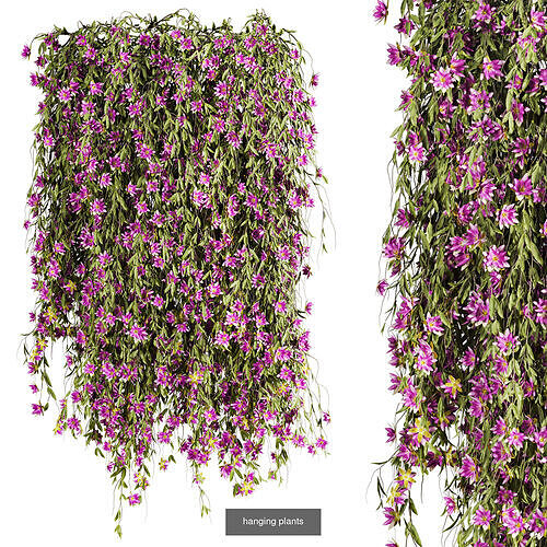 7 Ivy plant 3D models 3D Model Pack 4