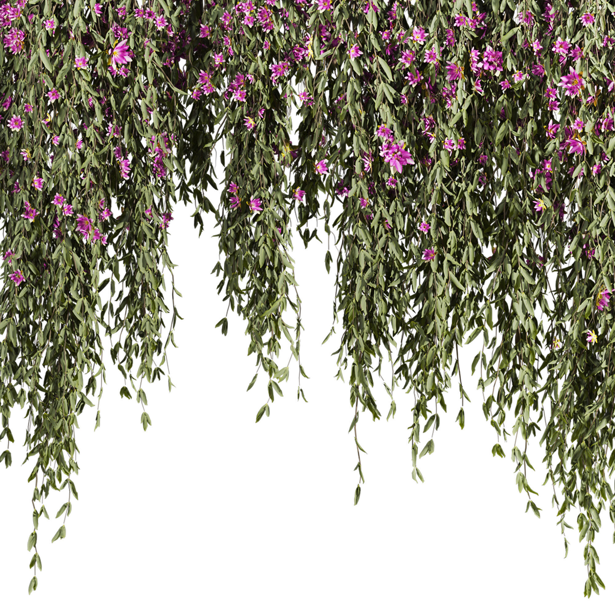 ivy plants with flowers 3D model_2