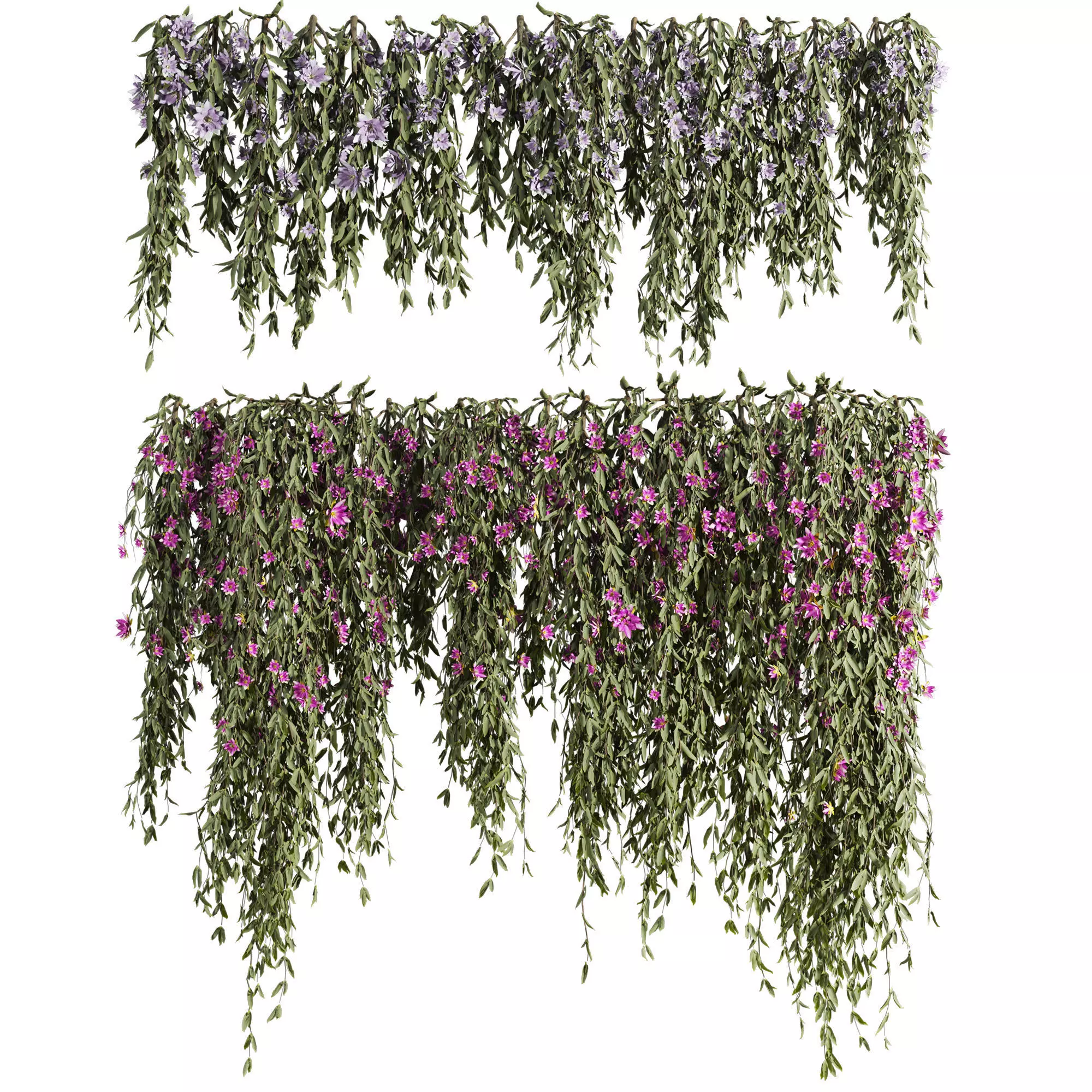 ivy plants with flowers 3D model_0