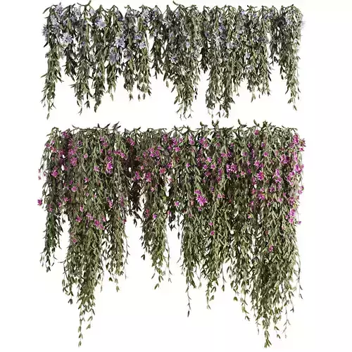 ivy plants with flowers