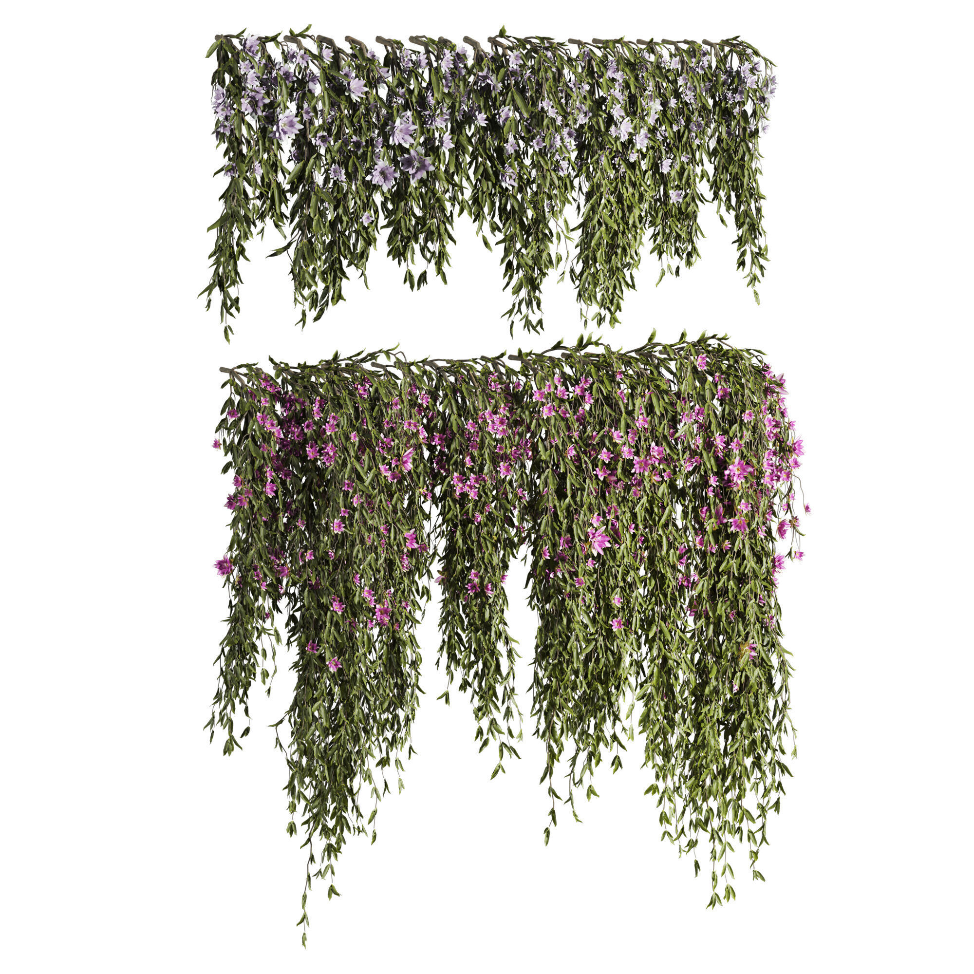 ivy plants with flowers 3D model_1