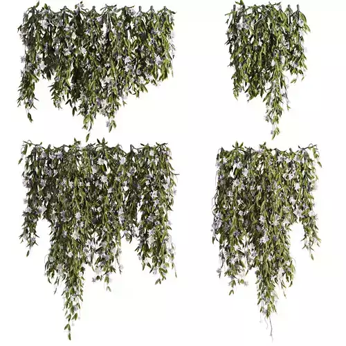 ivy plants with flowers