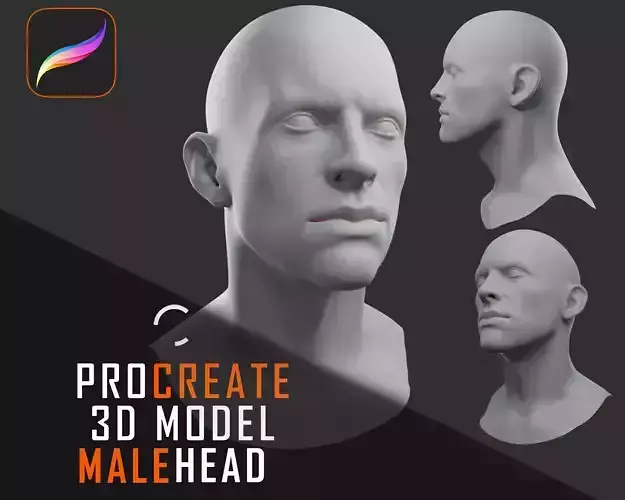 Procreate 3D Model - Male Head