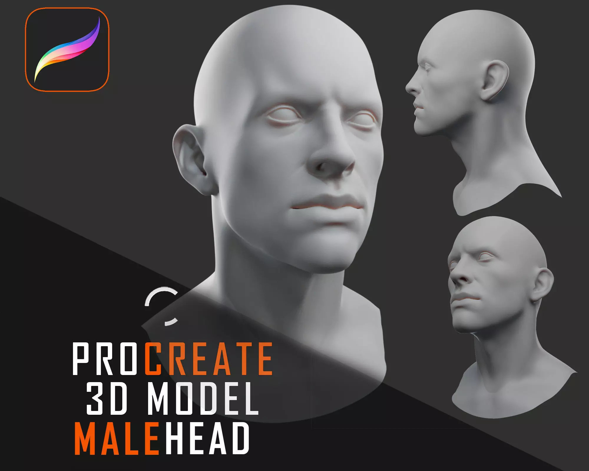 Procreate 3D Model - Male Head 3D model
