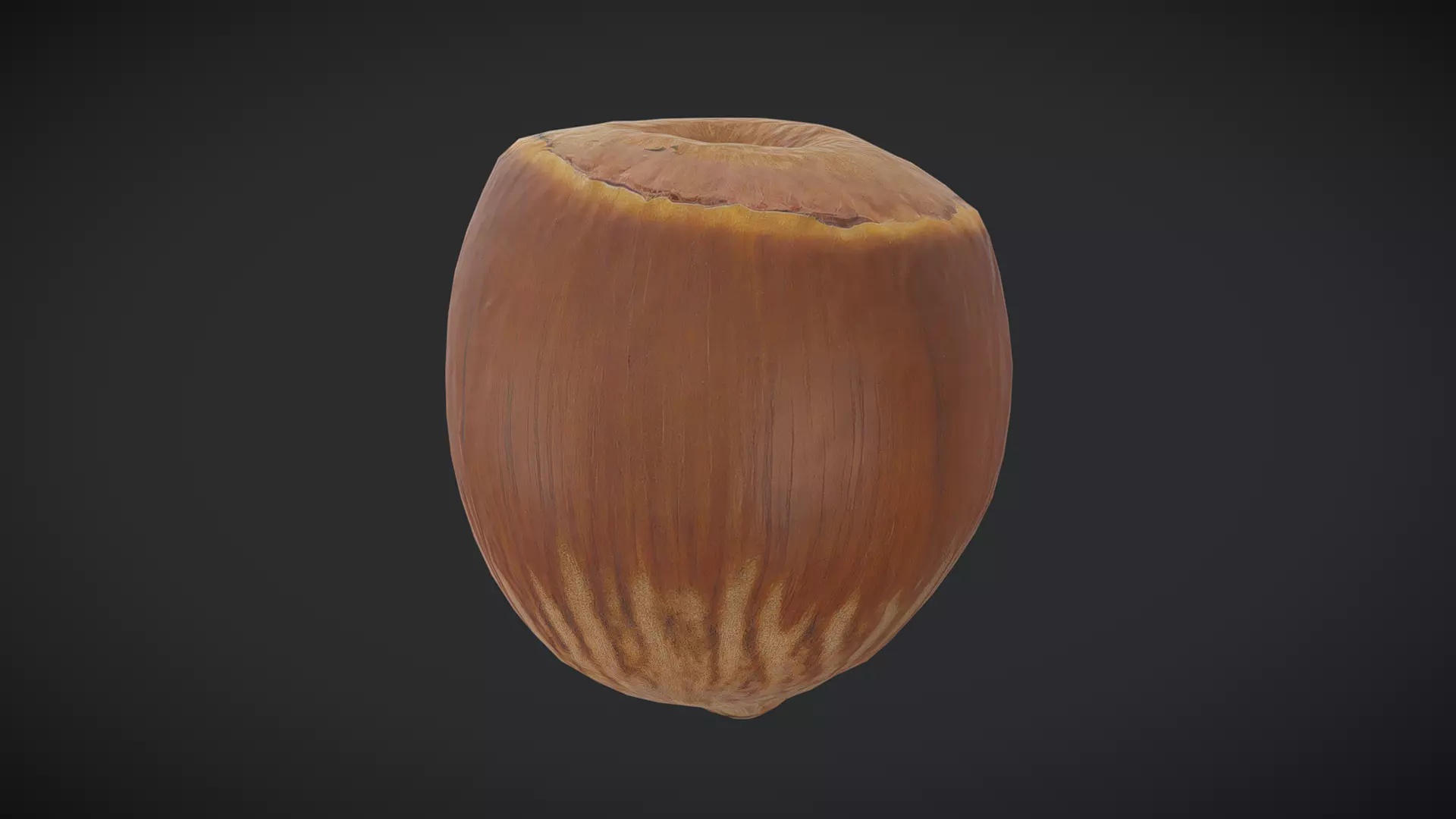 Hazelnut Low-poly 3D model_0