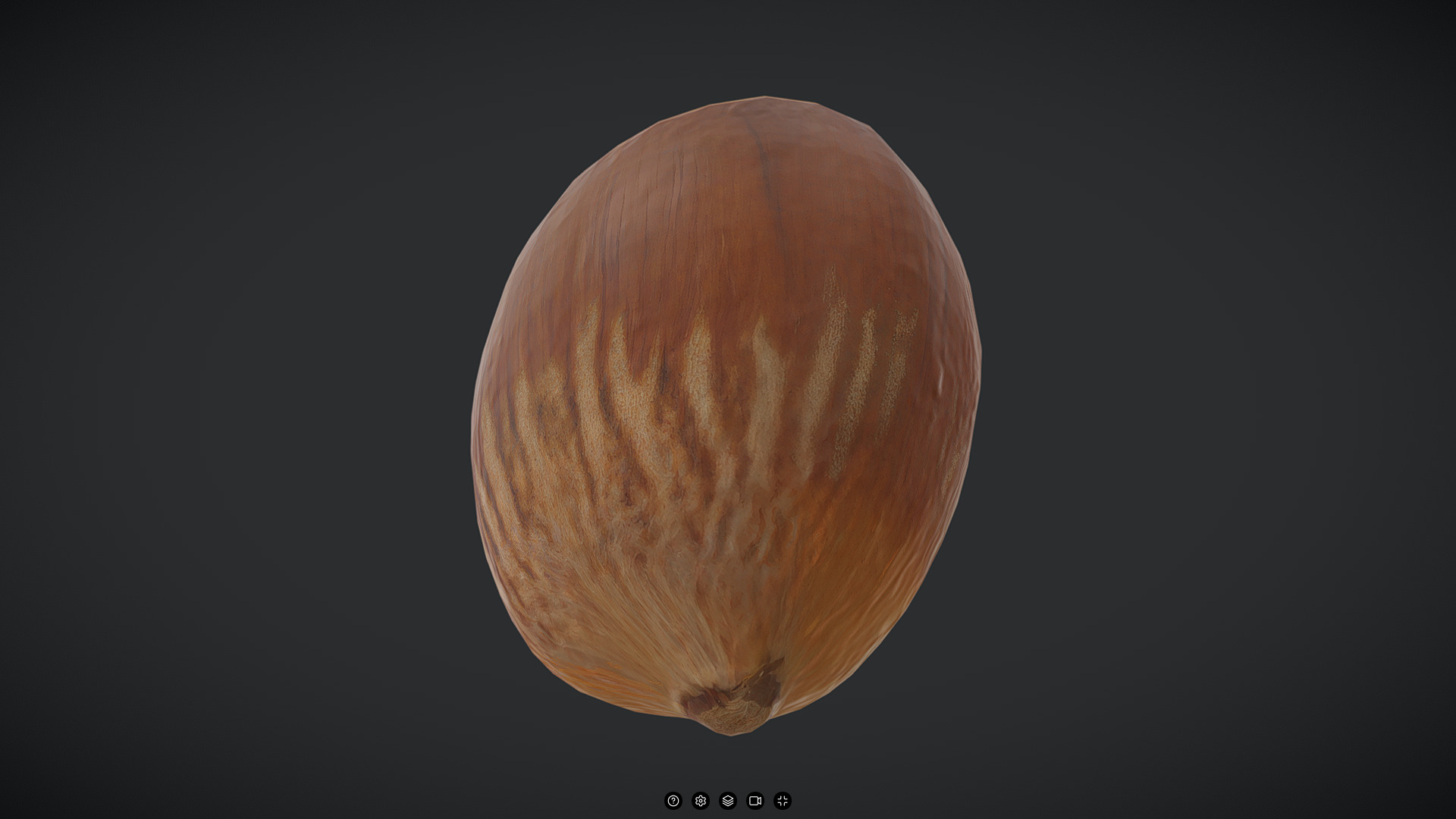 Hazelnut Low-poly 3D model_3