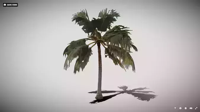 Low Poly Coconut 3D Model Game Ready