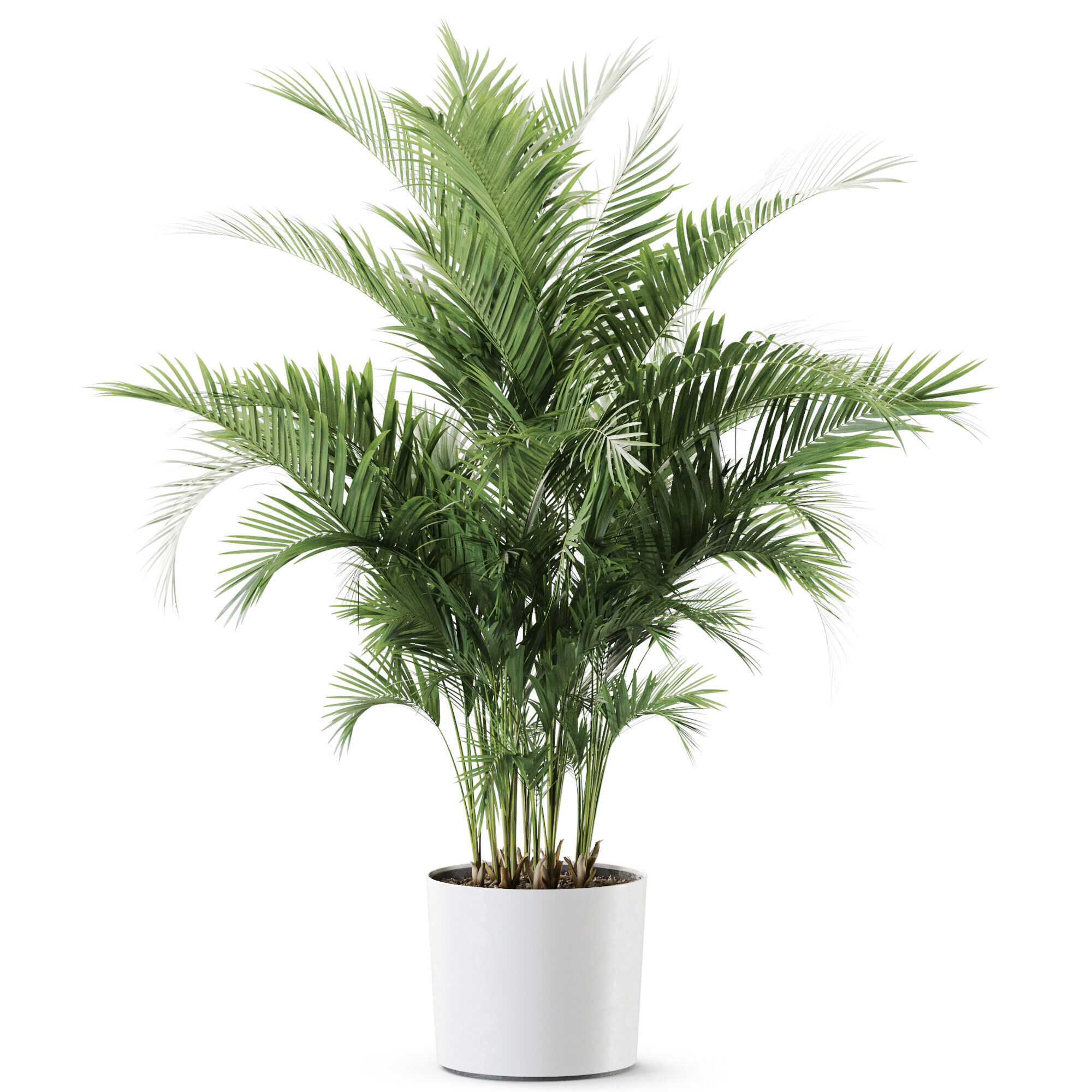 Plant 1246 3D model_1