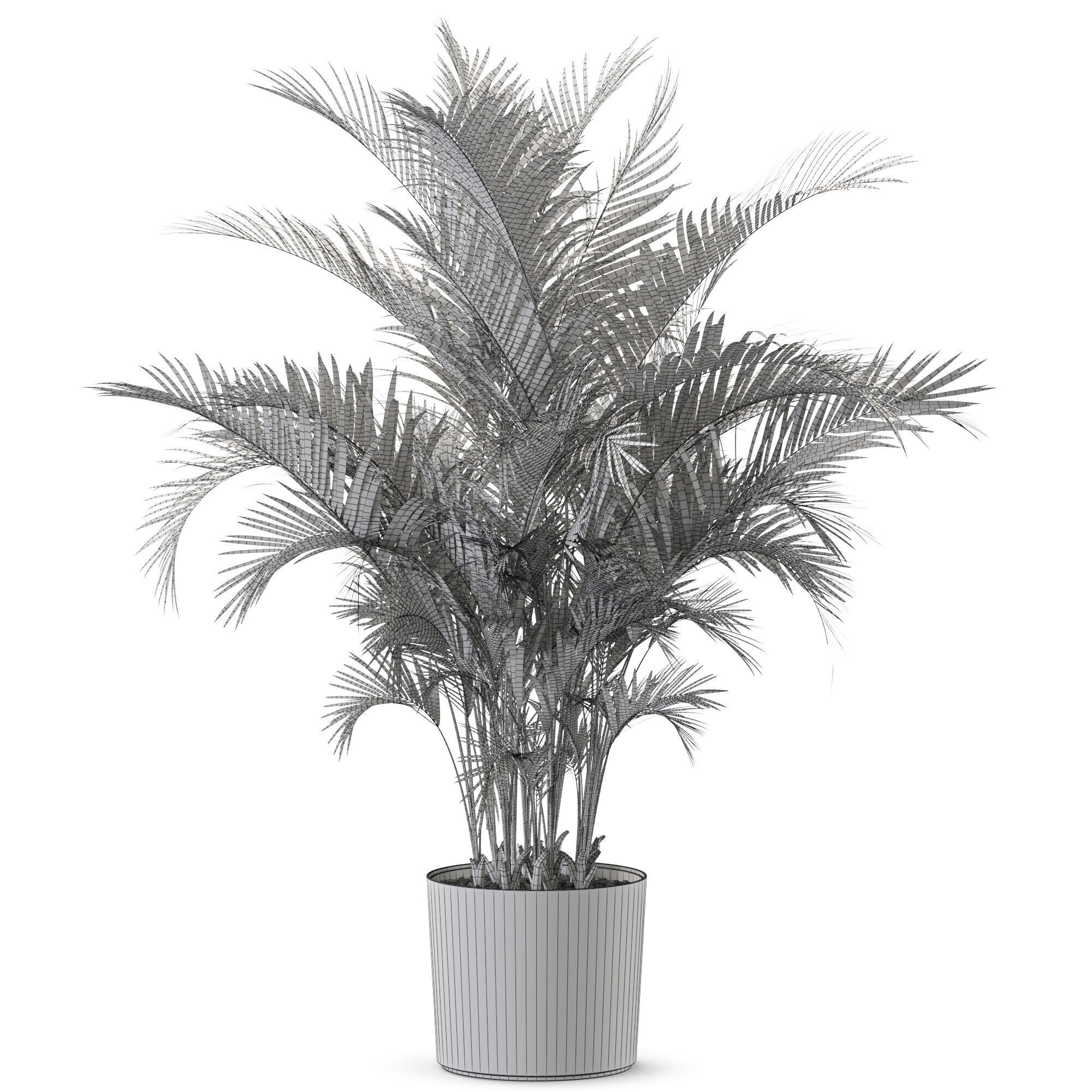 Plant 1246 3D model_4