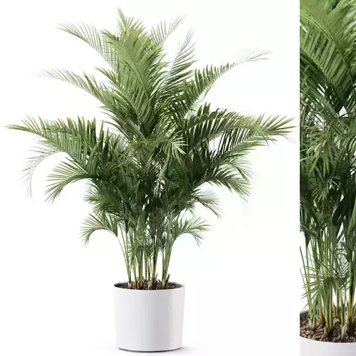 Plant 1246 3D model