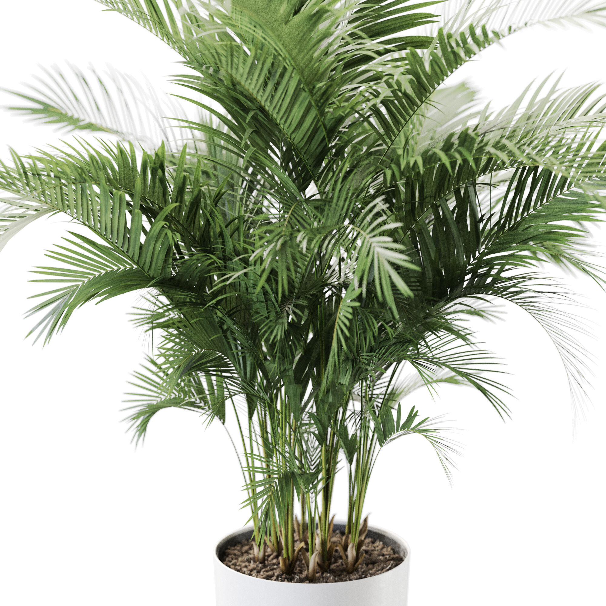 Plant 1246 3D model_2