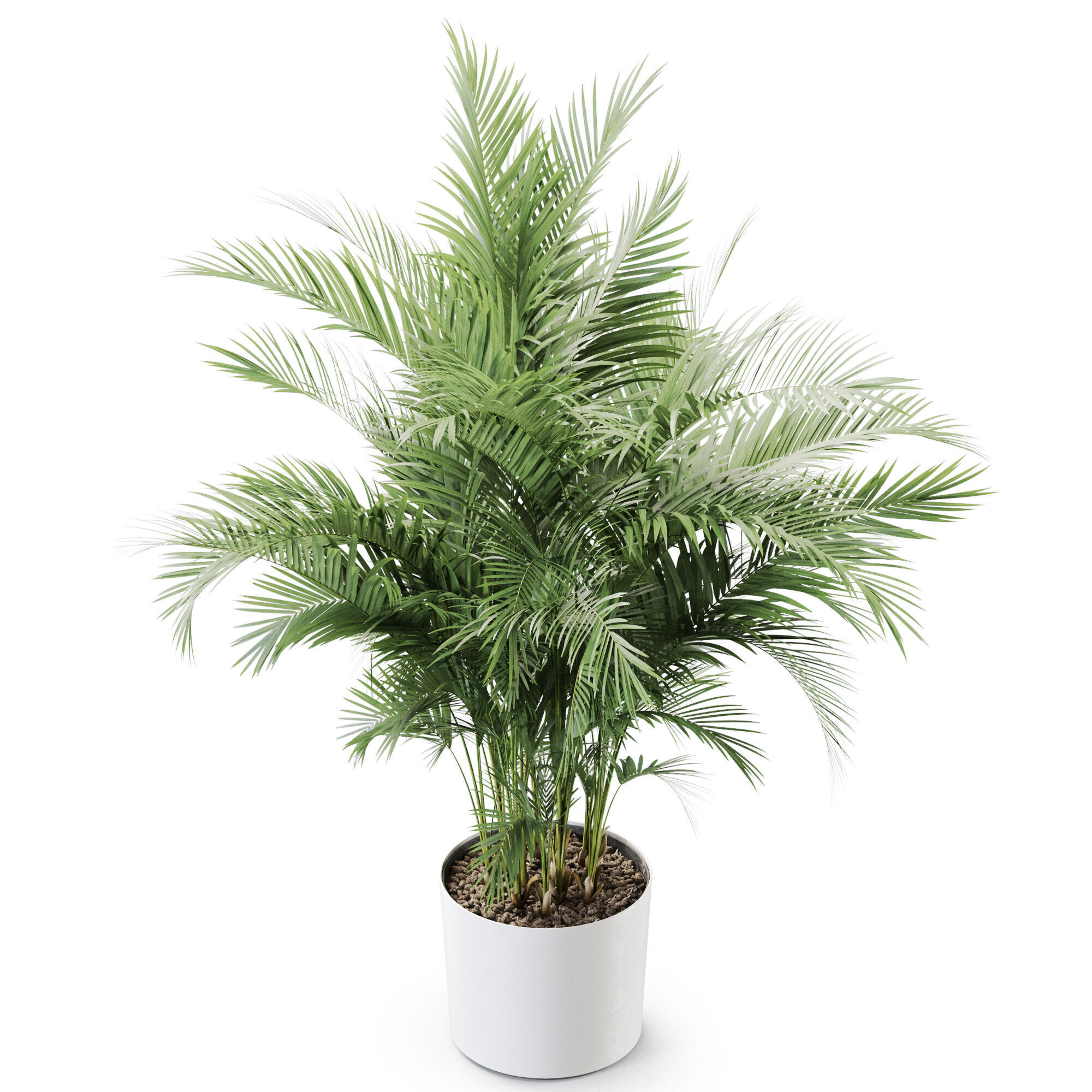 Plant 1246 3D model_3