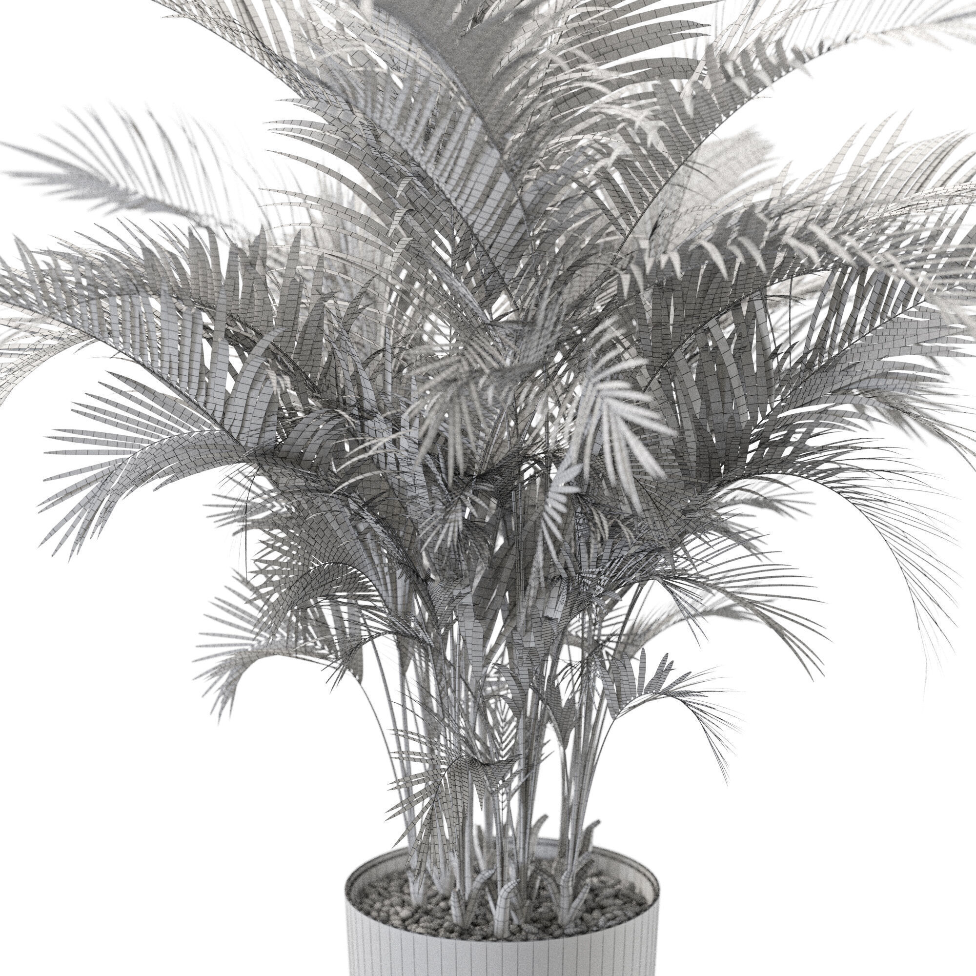 Plant 1246 3D model_5