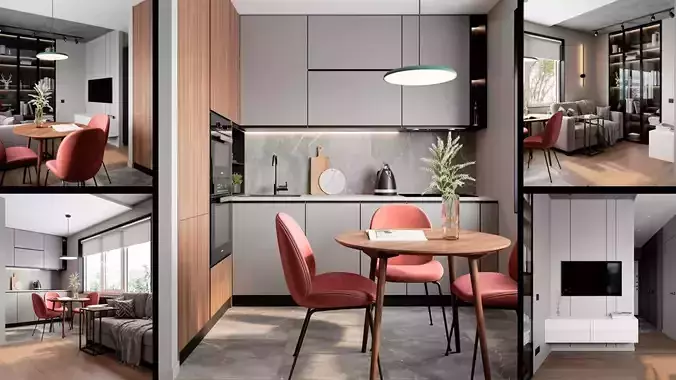 Contemporary Kitchen and Living Space Design