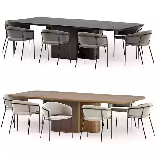 Konnie chair with echo table