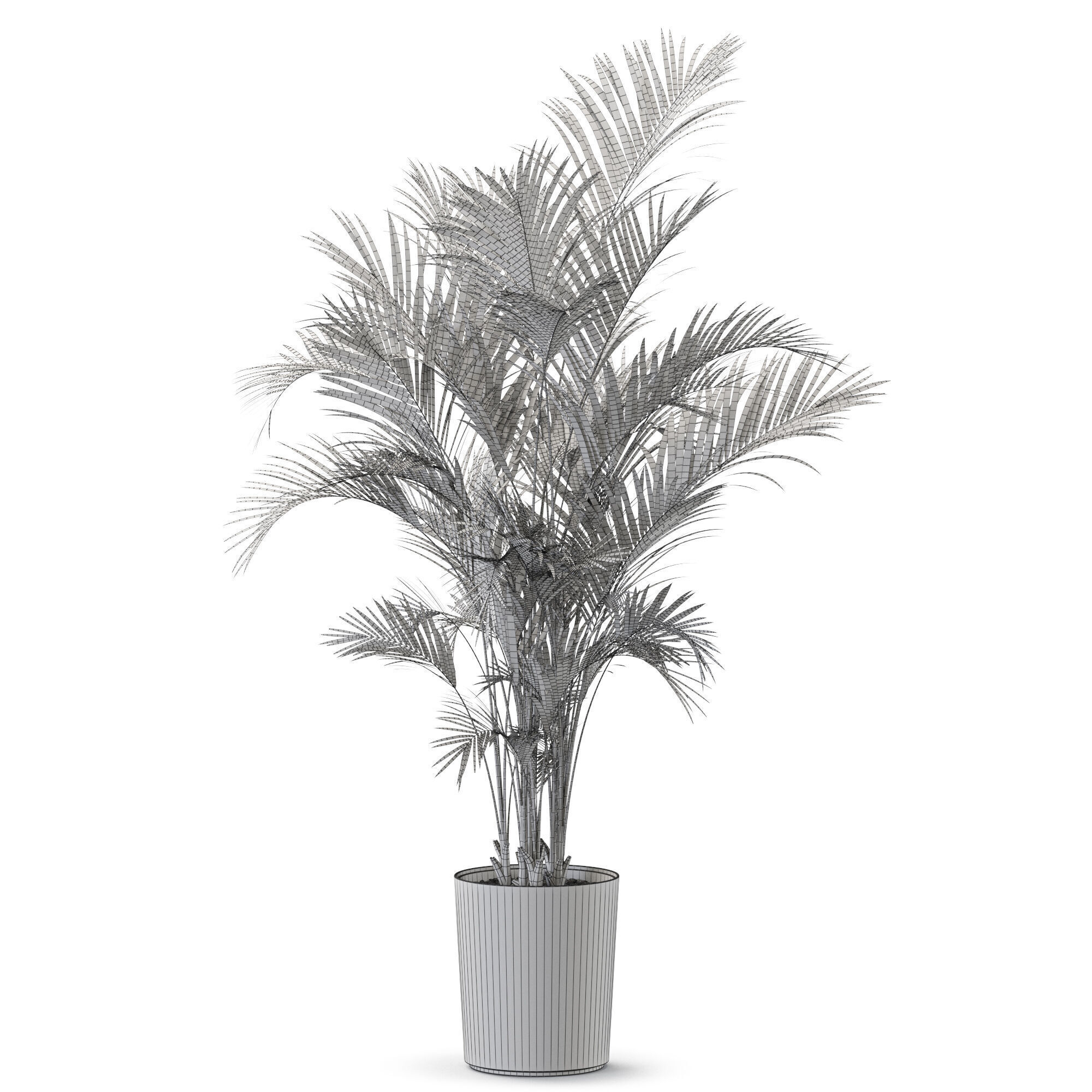 Plant 1247 3D model_4
