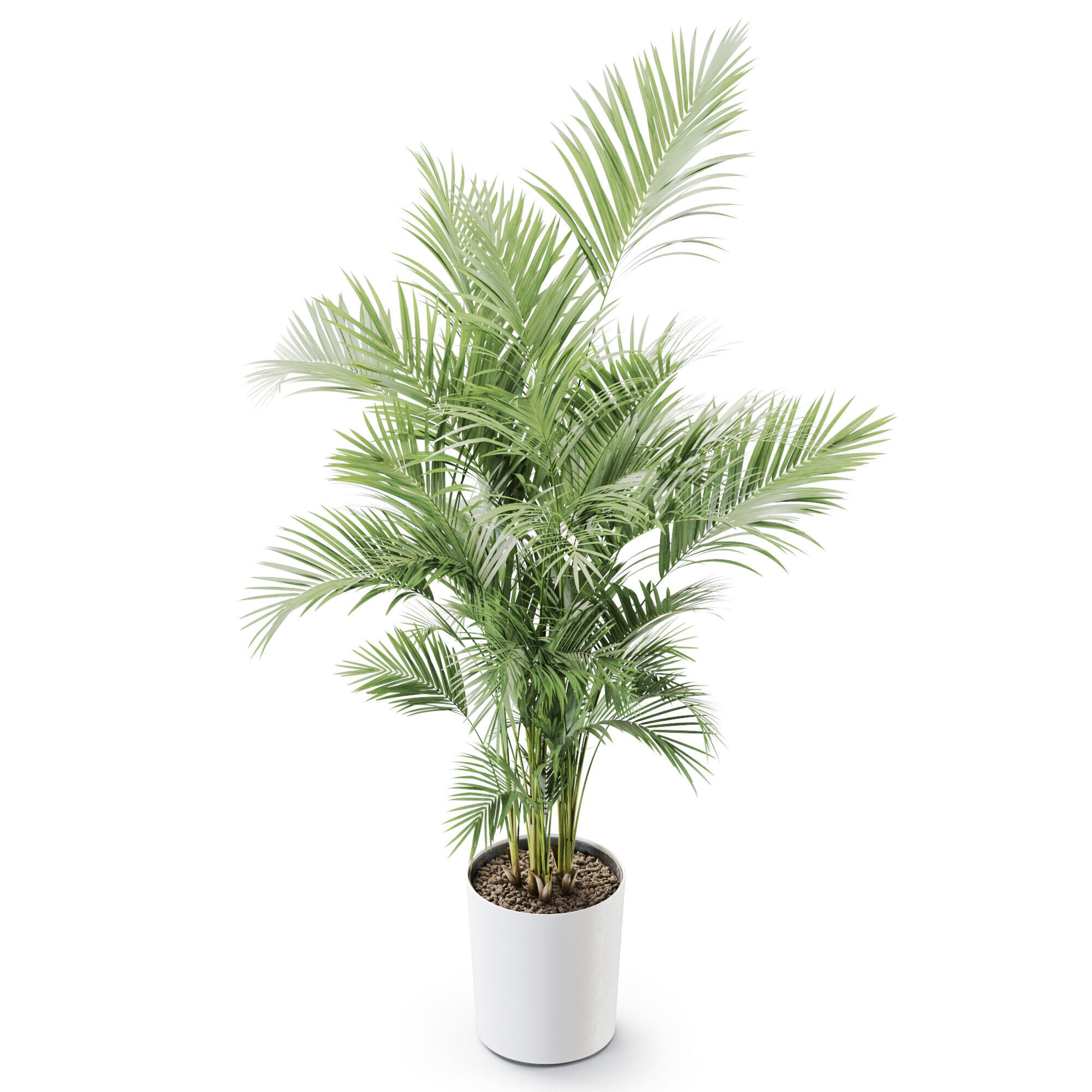 Plant 1247 3D model_3