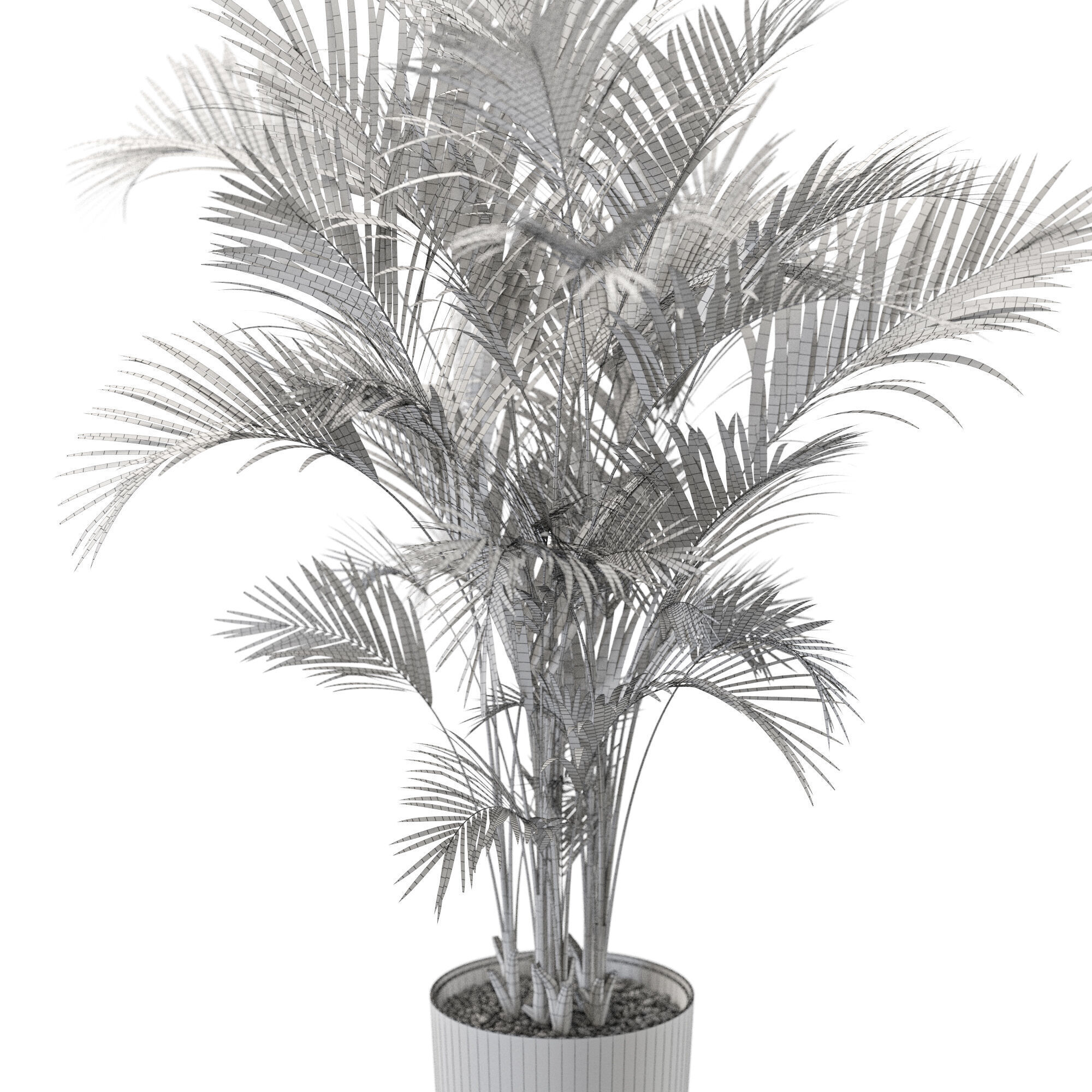 Plant 1247 3D model_5