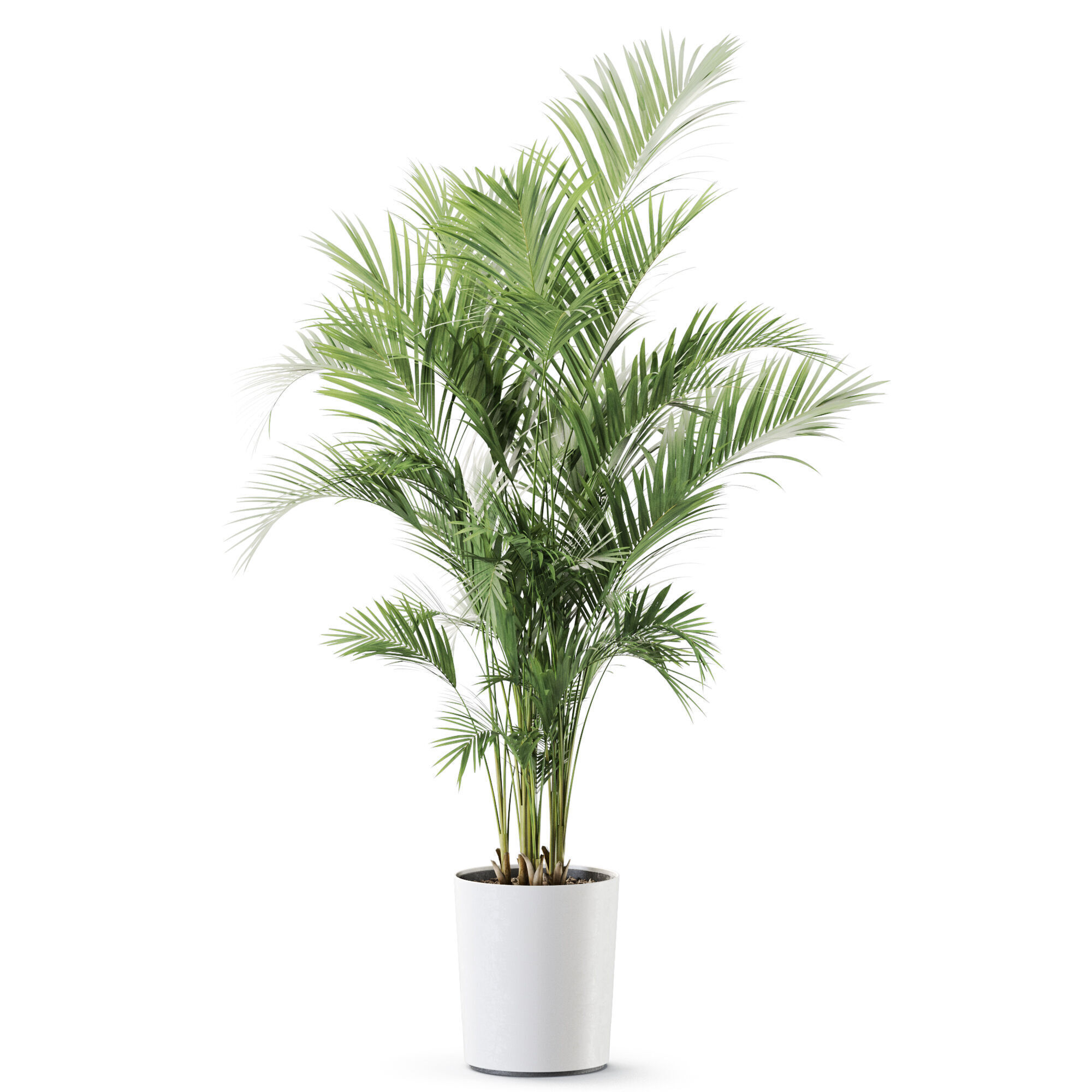 Plant 1247 3D model_1