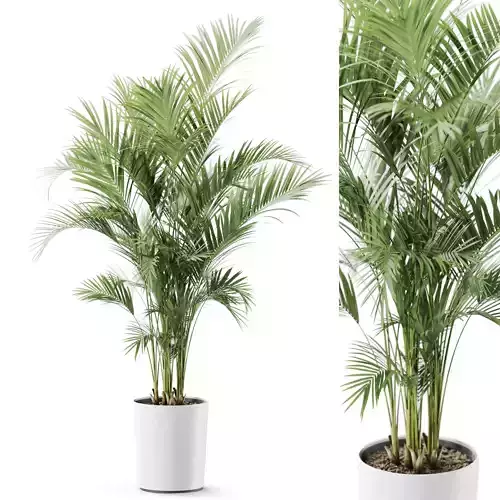 Plant 1247 3D model